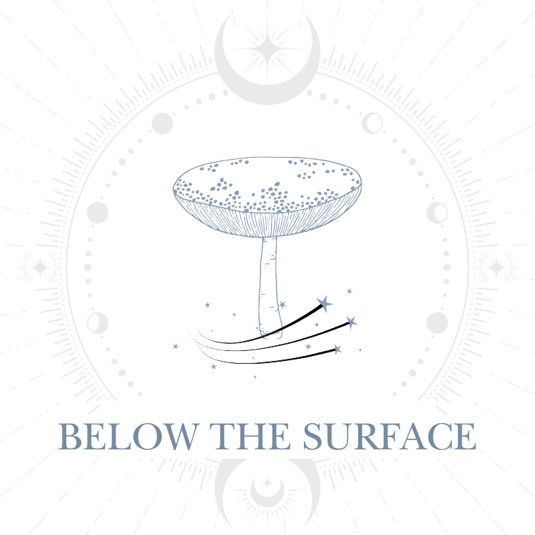 Below the Surface