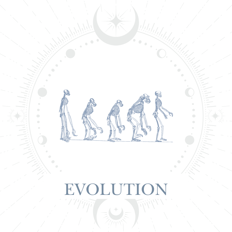 Evolution