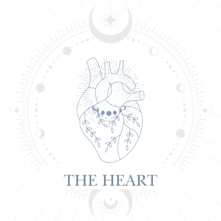 The Heart