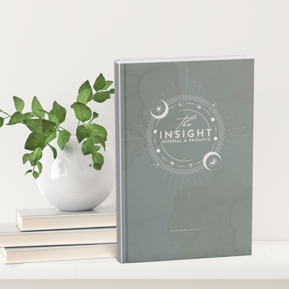 The Insight Journal and Prompts